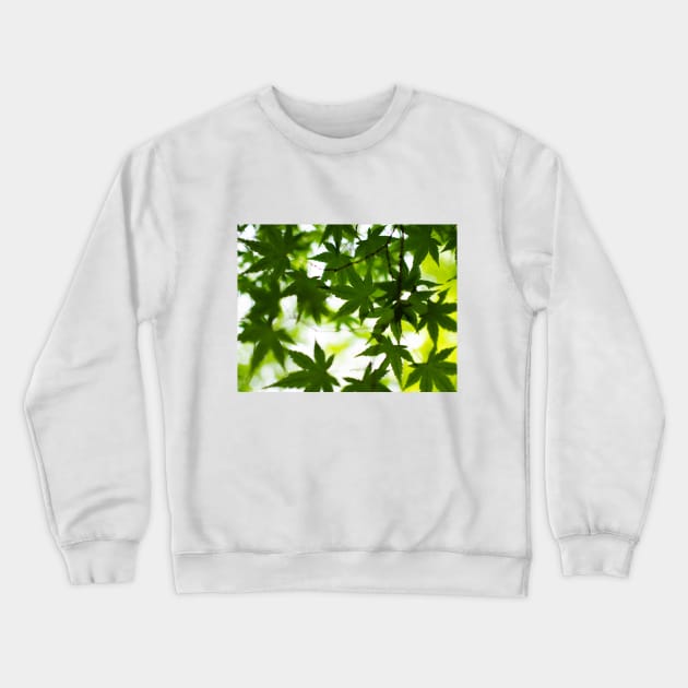 Photography - Spring leaves Crewneck Sweatshirt by Karoのkyuuto